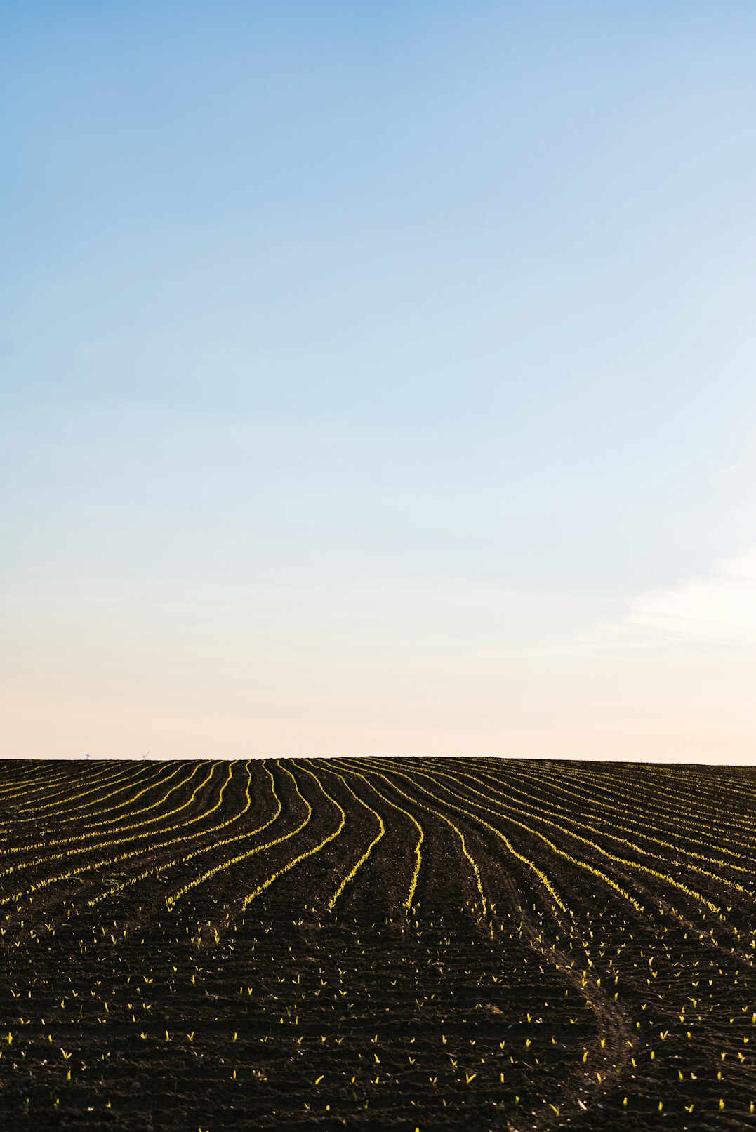 ai in agriculture